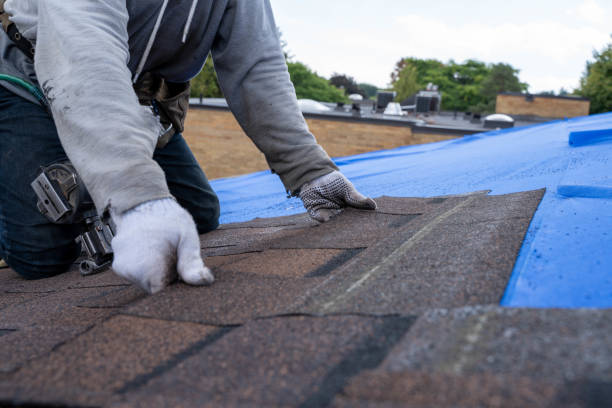 Best Metal Roofing Contractor  in Riesel, TX